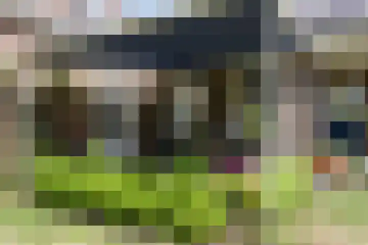 Bloemberg 24 Veeningen thumbnail 49