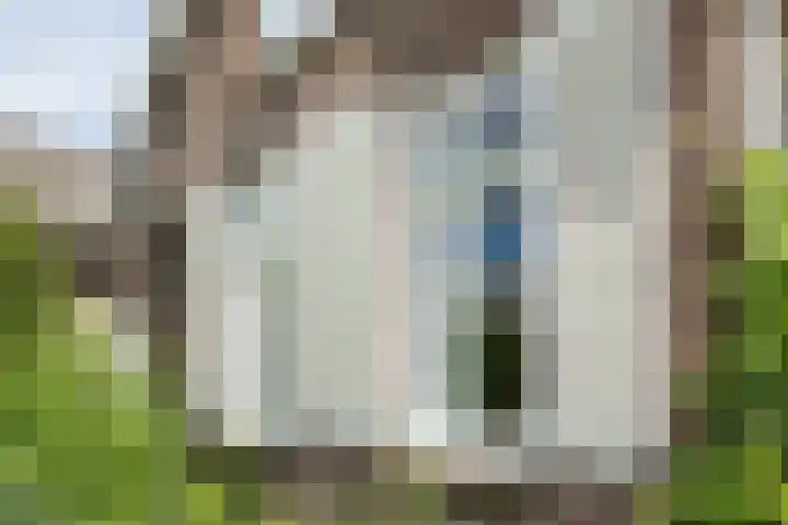 Bloemberg 24 Veeningen thumbnail 5