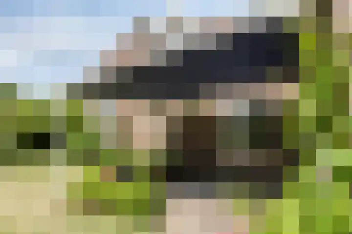 Bloemberg 24 Veeningen thumbnail 50