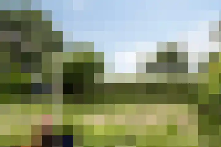 Bloemberg 24 Veeningen thumbnail 51