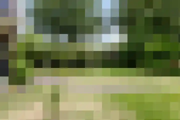 Bloemberg 24 Veeningen thumbnail 52