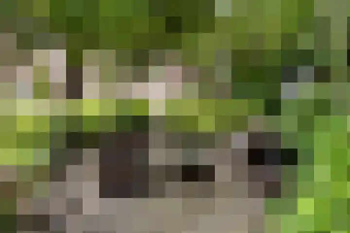 Bloemberg 24 Veeningen thumbnail 53