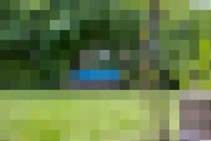 Bloemberg 24 Veeningen thumbnail 55