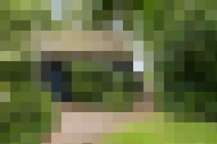 Bloemberg 24 Veeningen thumbnail 58