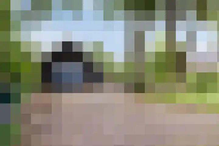 Bloemberg 24 Veeningen thumbnail 59