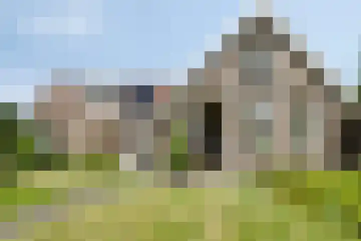 Bloemberg 24 Veeningen thumbnail 6