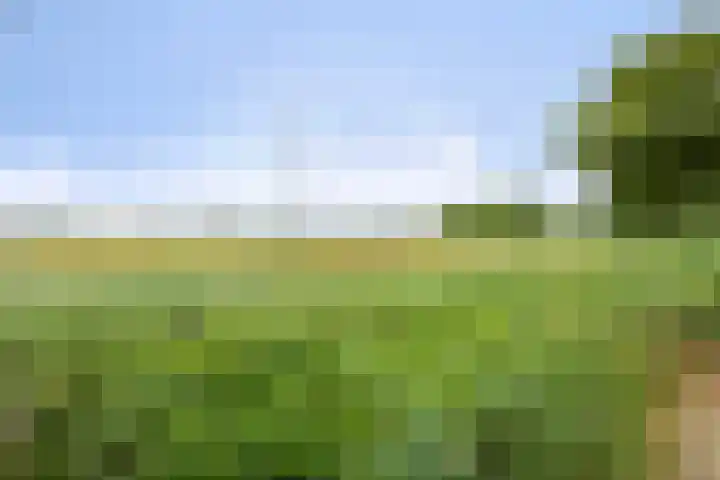 Bloemberg 24 Veeningen thumbnail 63