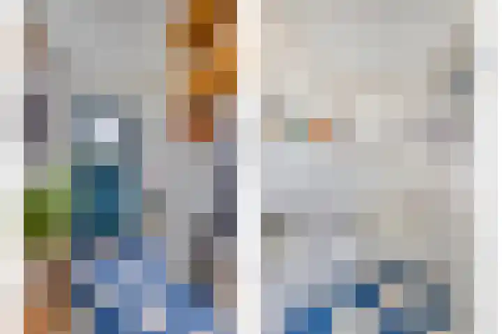 Bloemberg 24 Veeningen thumbnail 7