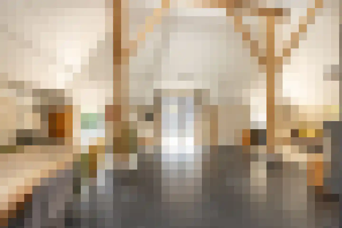 Bloemberg 34 Veeningen thumbnail 11
