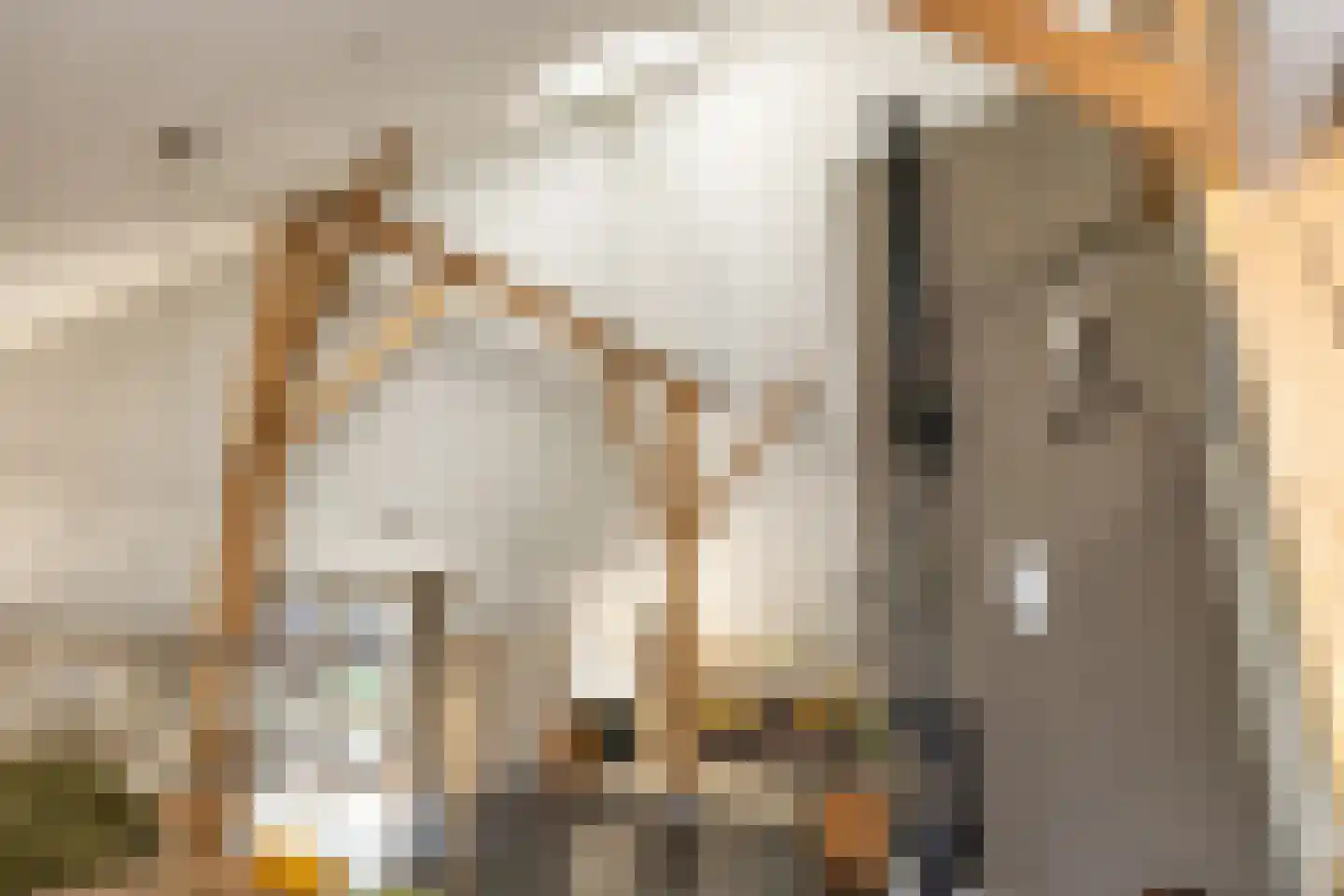 Bloemberg 34 Veeningen thumbnail 12