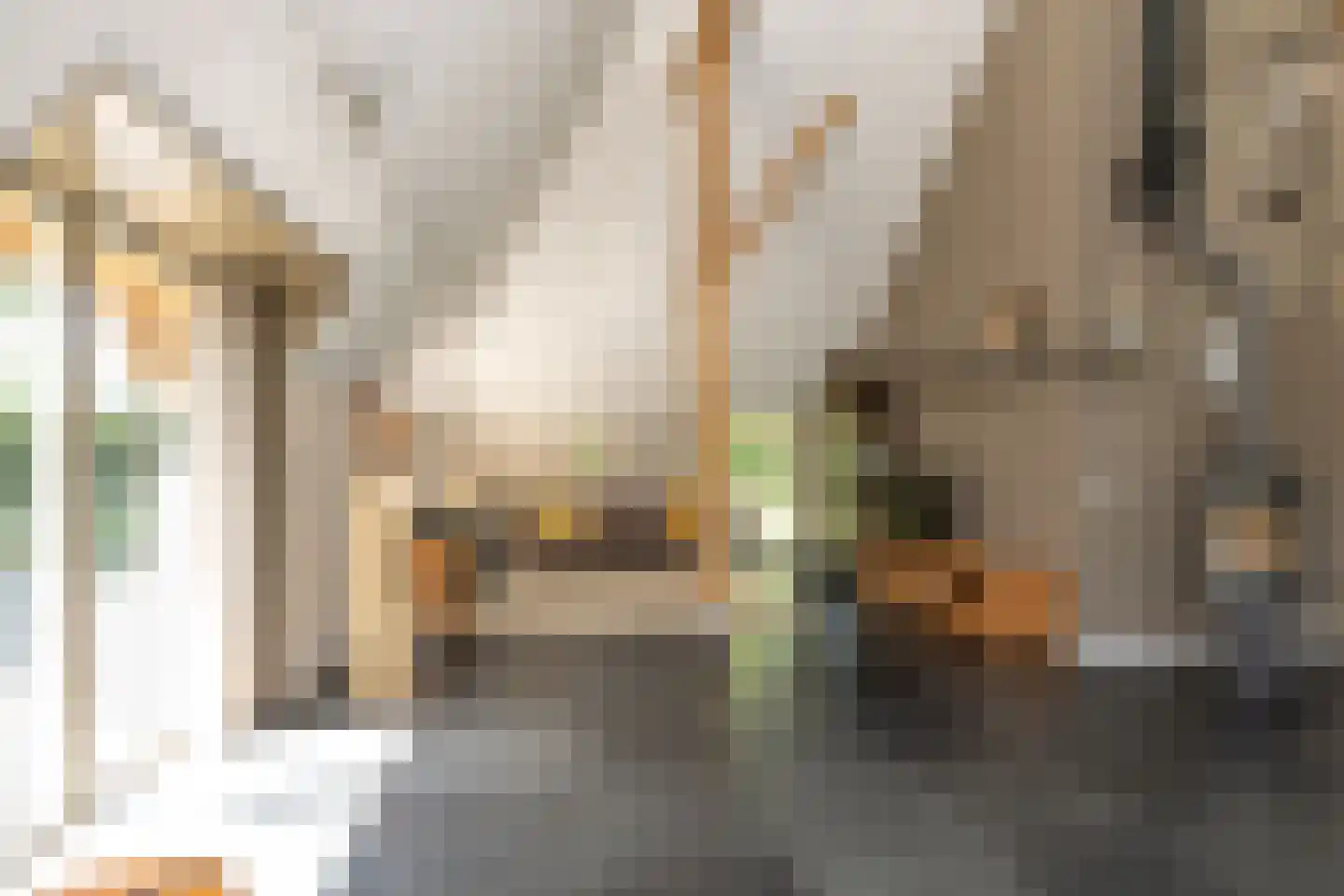 Bloemberg 34 Veeningen thumbnail 13