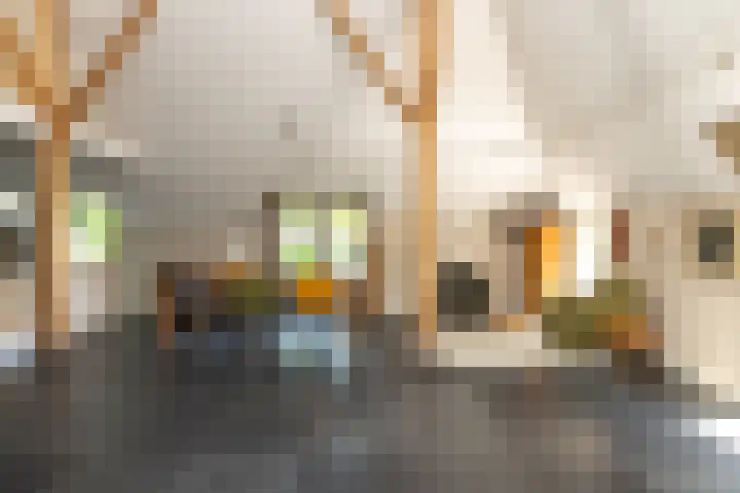 Bloemberg 34 Veeningen thumbnail 17