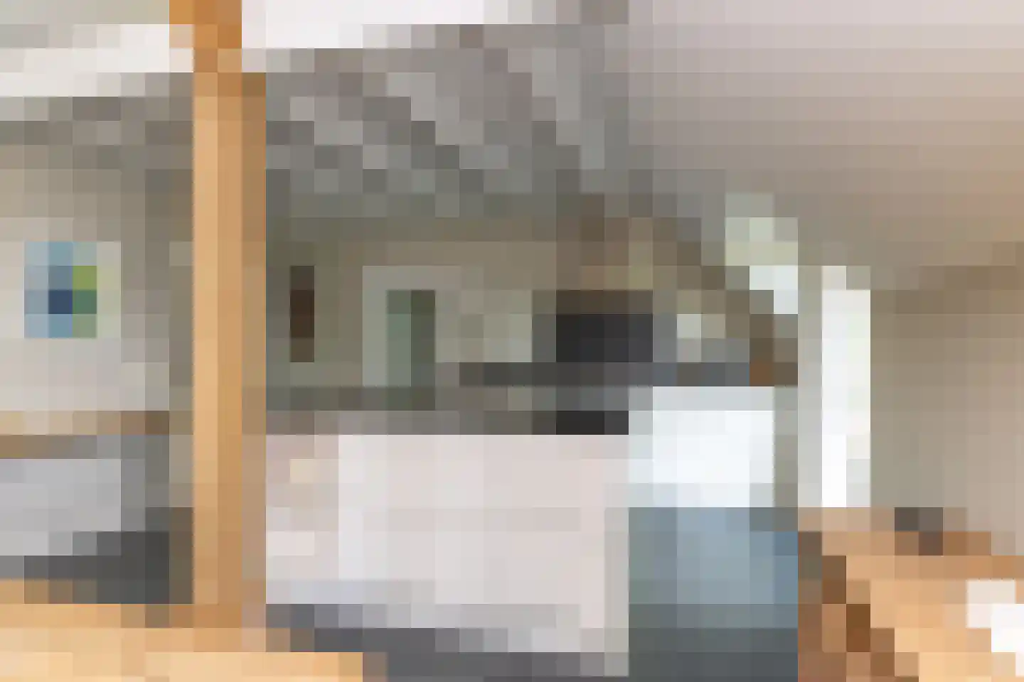 Bloemberg 34 Veeningen thumbnail 19
