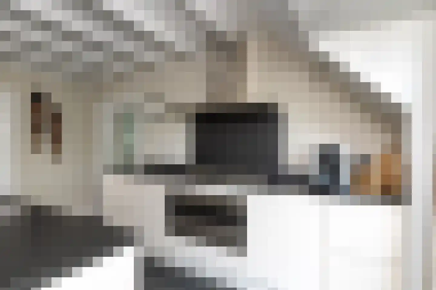 Bloemberg 34 Veeningen thumbnail 20