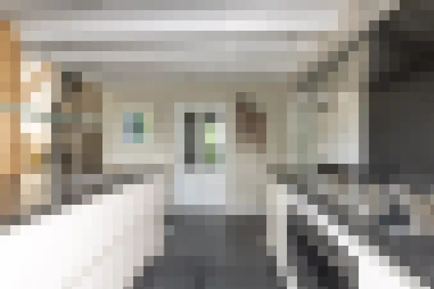 Bloemberg 34 Veeningen thumbnail 21