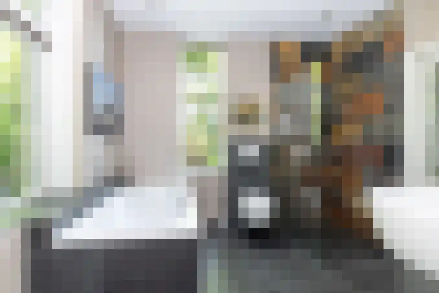 Bloemberg 34 Veeningen thumbnail 26