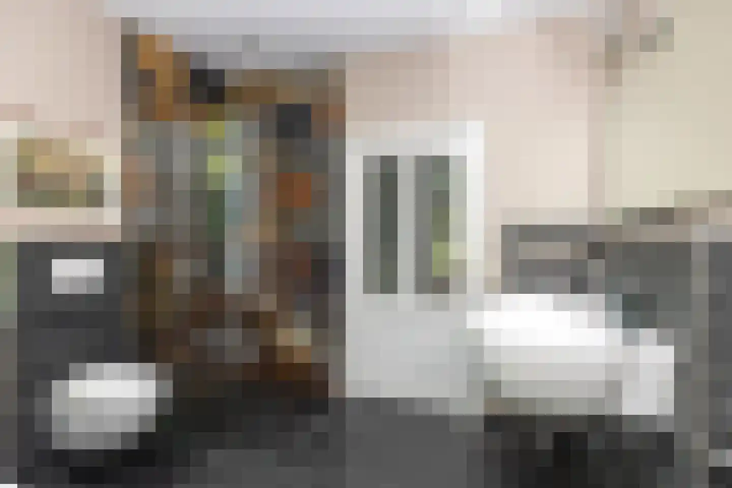 Bloemberg 34 Veeningen thumbnail 29