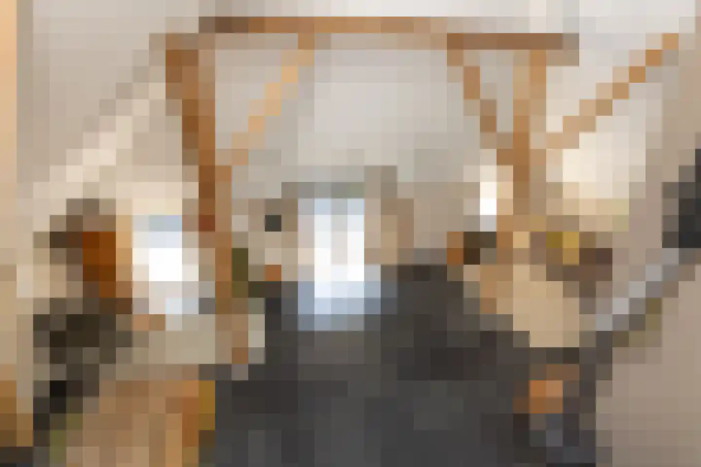 Bloemberg 34 Veeningen thumbnail 33
