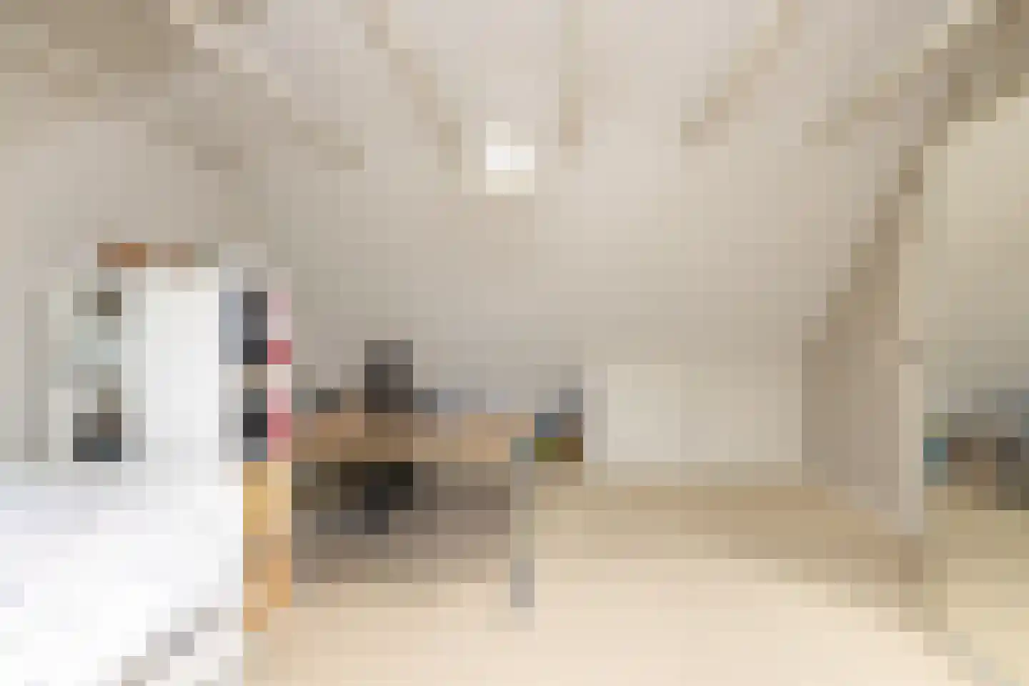 Bloemberg 34 Veeningen thumbnail 37