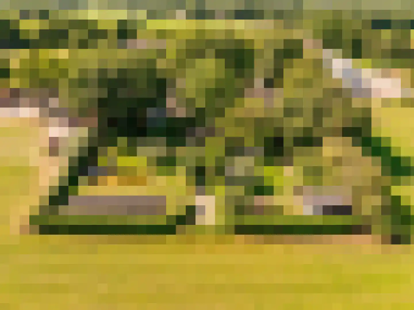 Bloemberg 34 Veeningen thumbnail 39