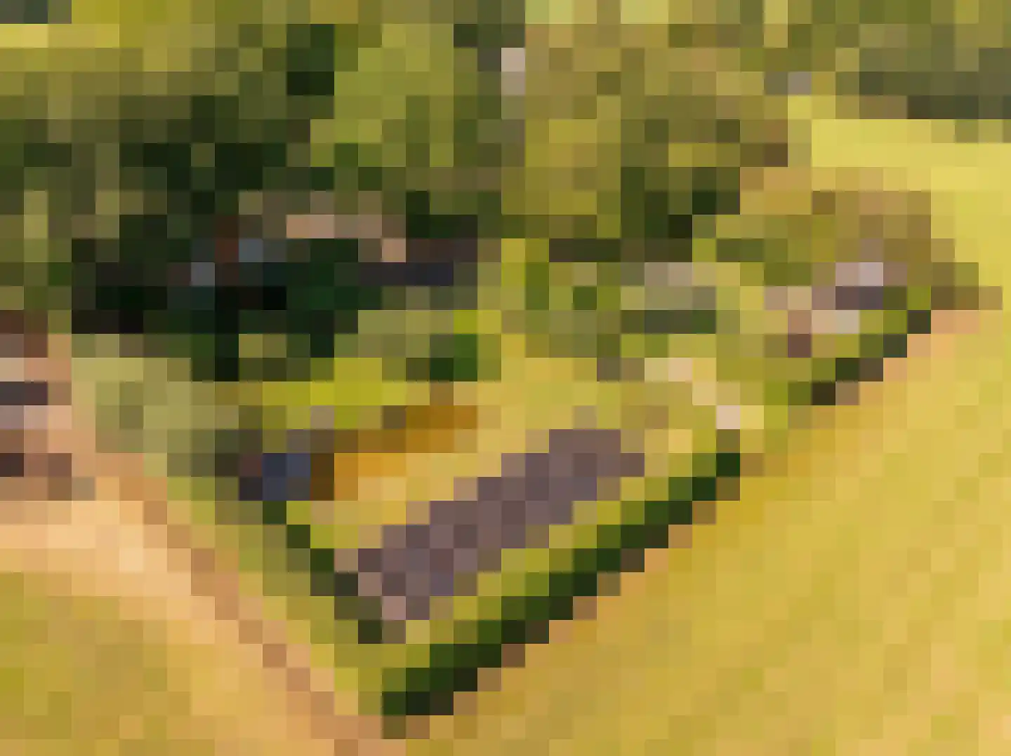 Bloemberg 34 Veeningen thumbnail 4