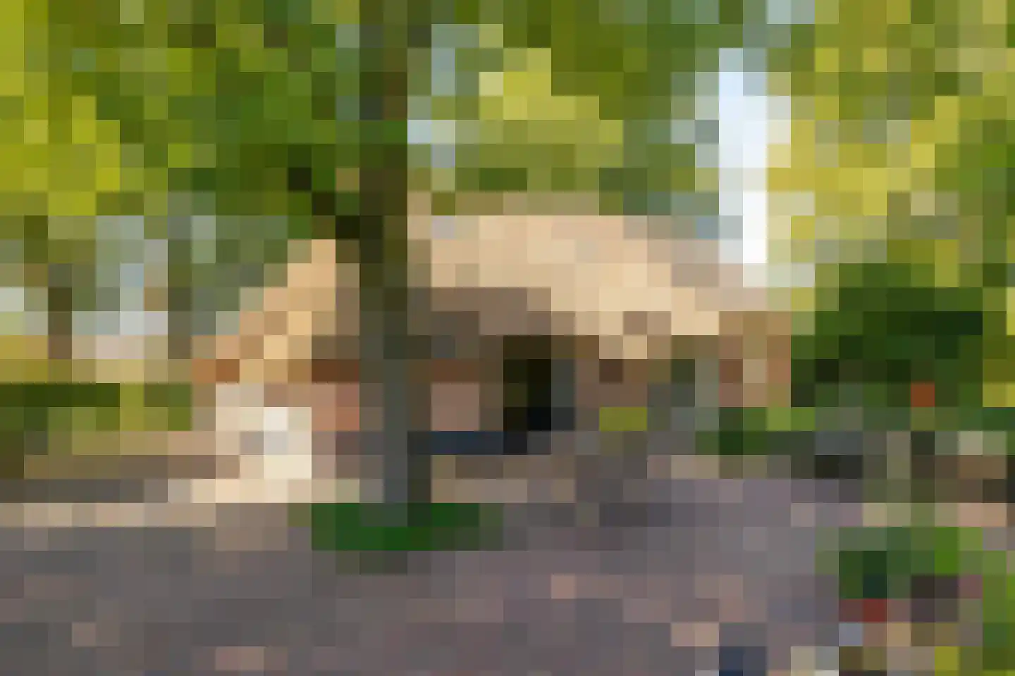 Bloemberg 34 Veeningen thumbnail 42