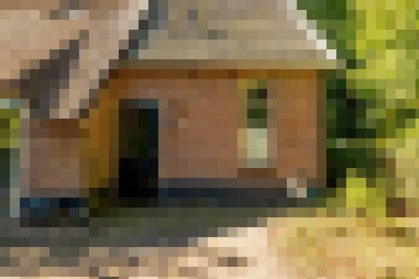 Bloemberg 34 Veeningen thumbnail 44