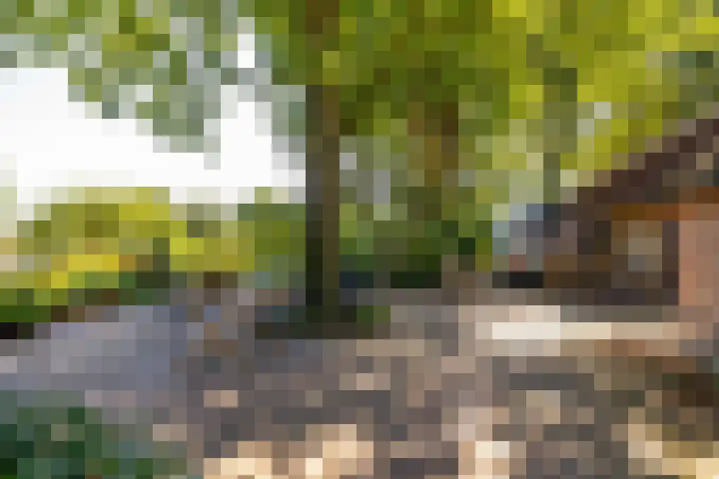 Bloemberg 34 Veeningen thumbnail 45