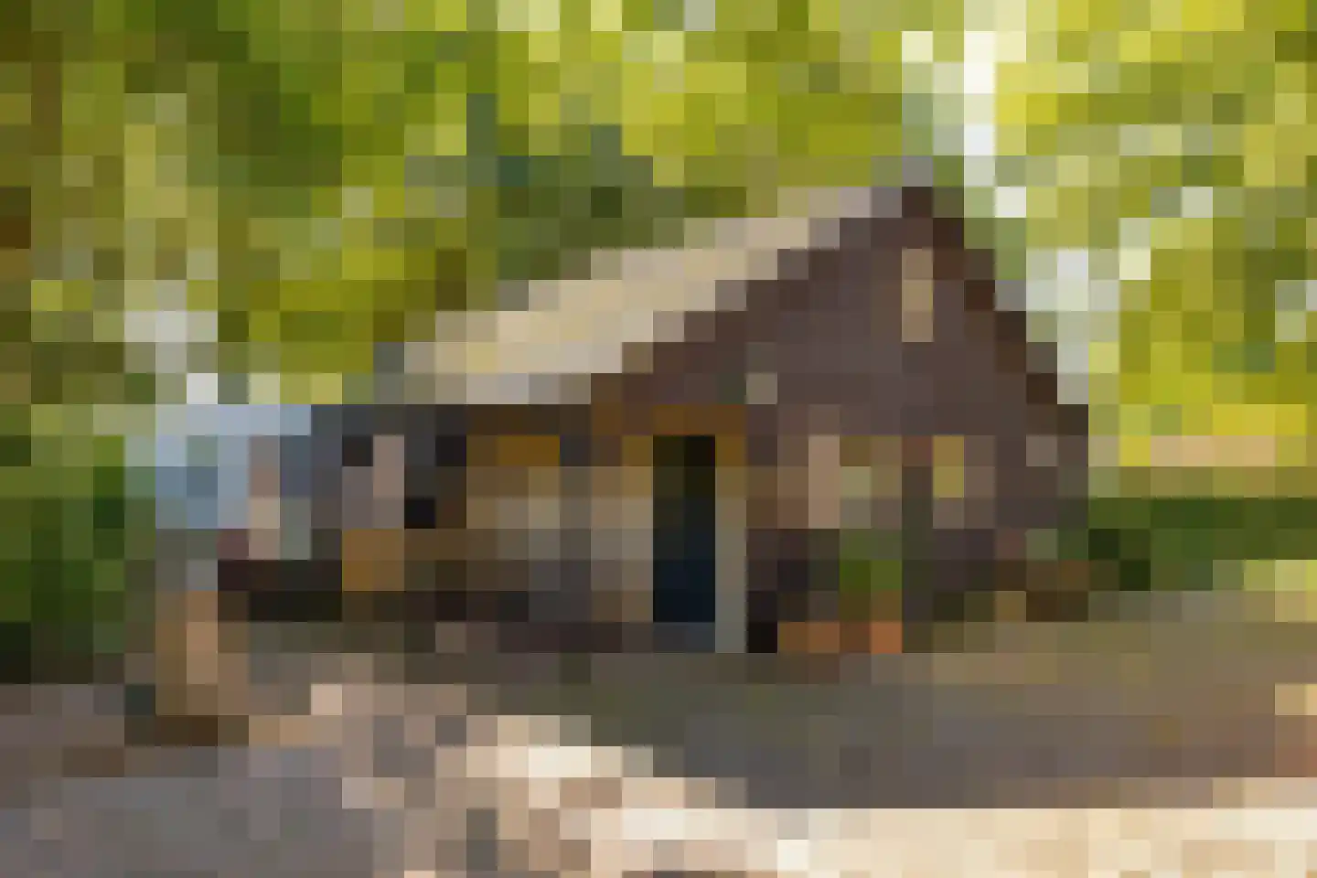 Bloemberg 34 Veeningen thumbnail 46