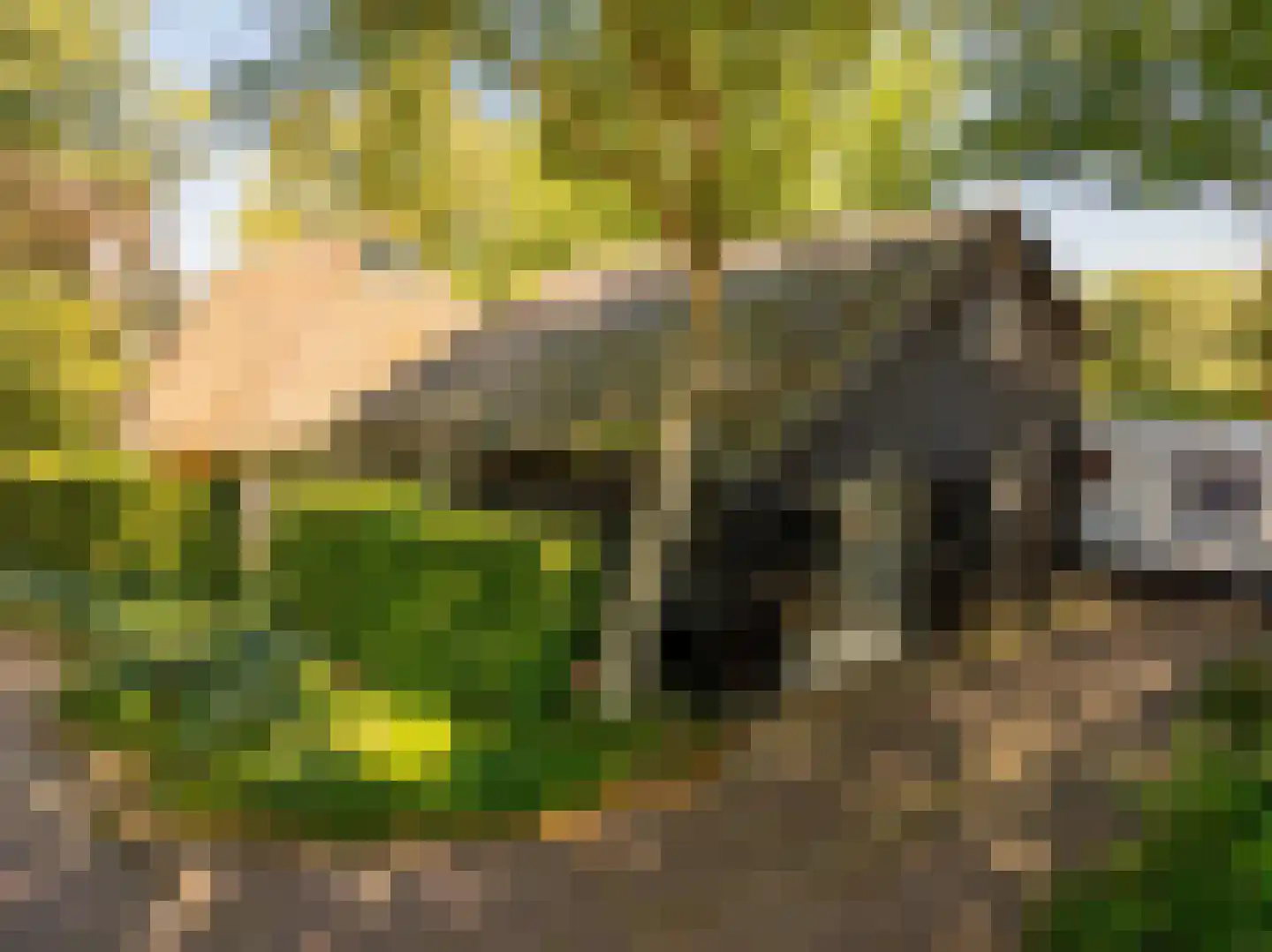 Bloemberg 34 Veeningen thumbnail 47