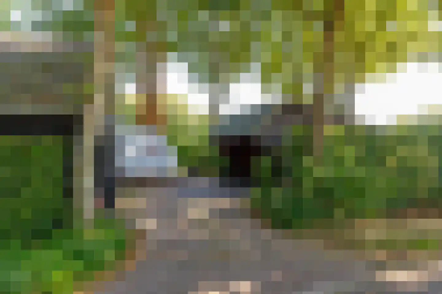 Bloemberg 34 Veeningen thumbnail 49