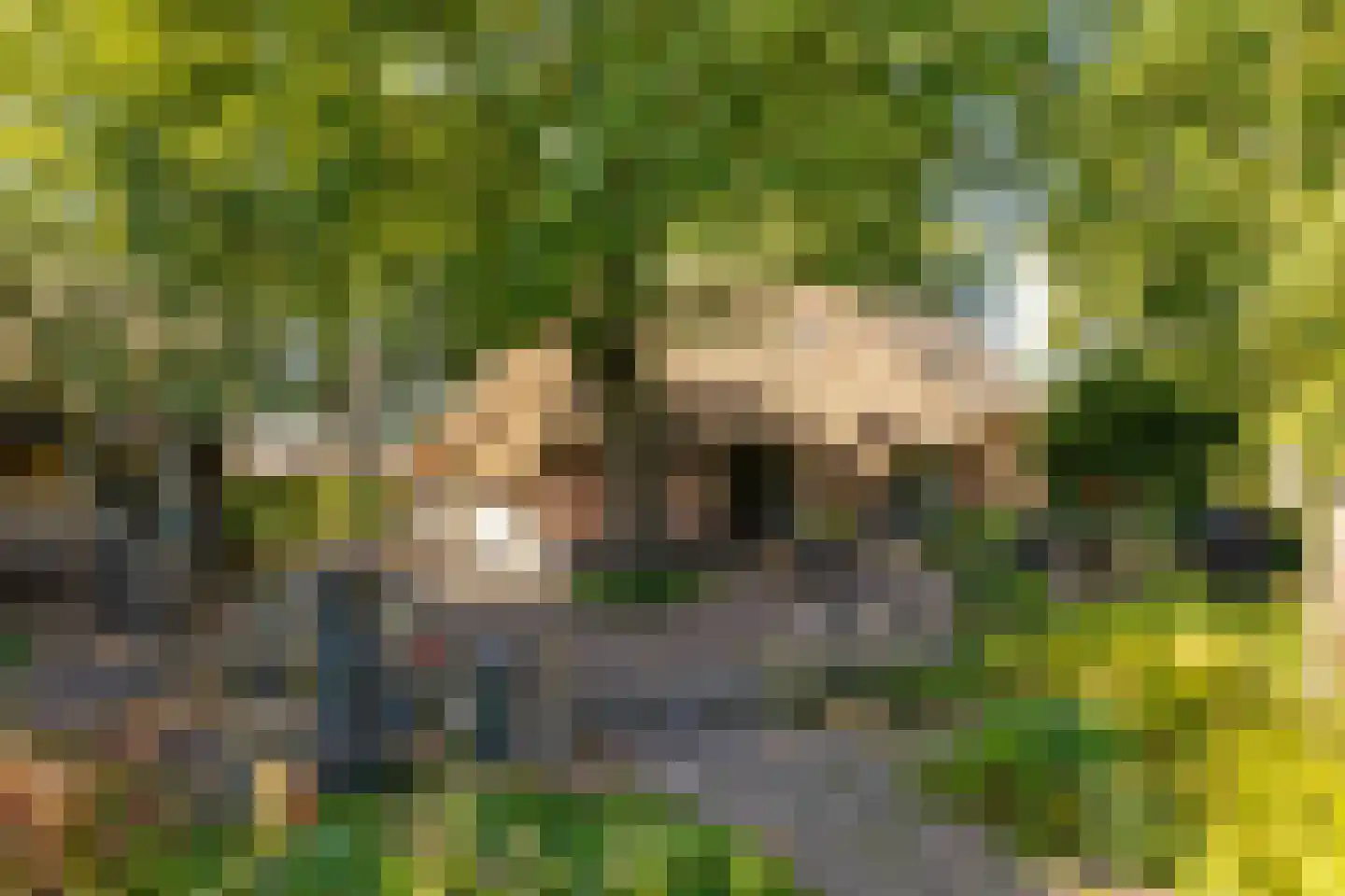 Bloemberg 34 Veeningen thumbnail 5