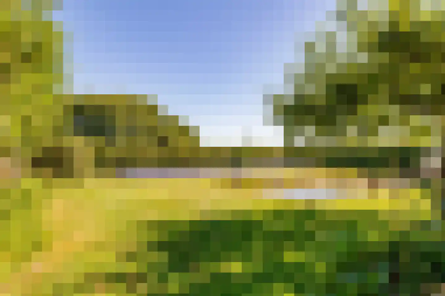 Bloemberg 34 Veeningen thumbnail 52