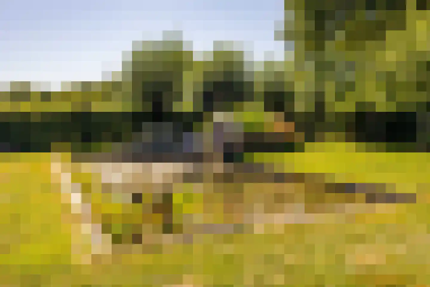 Bloemberg 34 Veeningen thumbnail 53