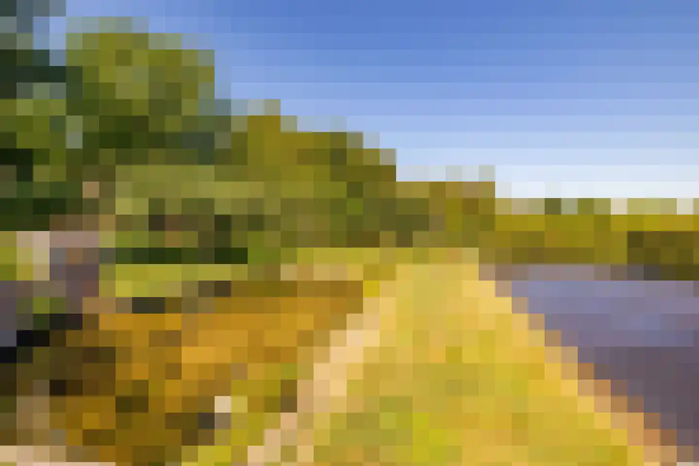 Bloemberg 34 Veeningen thumbnail 54