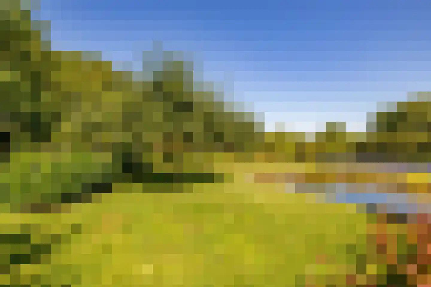 Bloemberg 34 Veeningen thumbnail 55