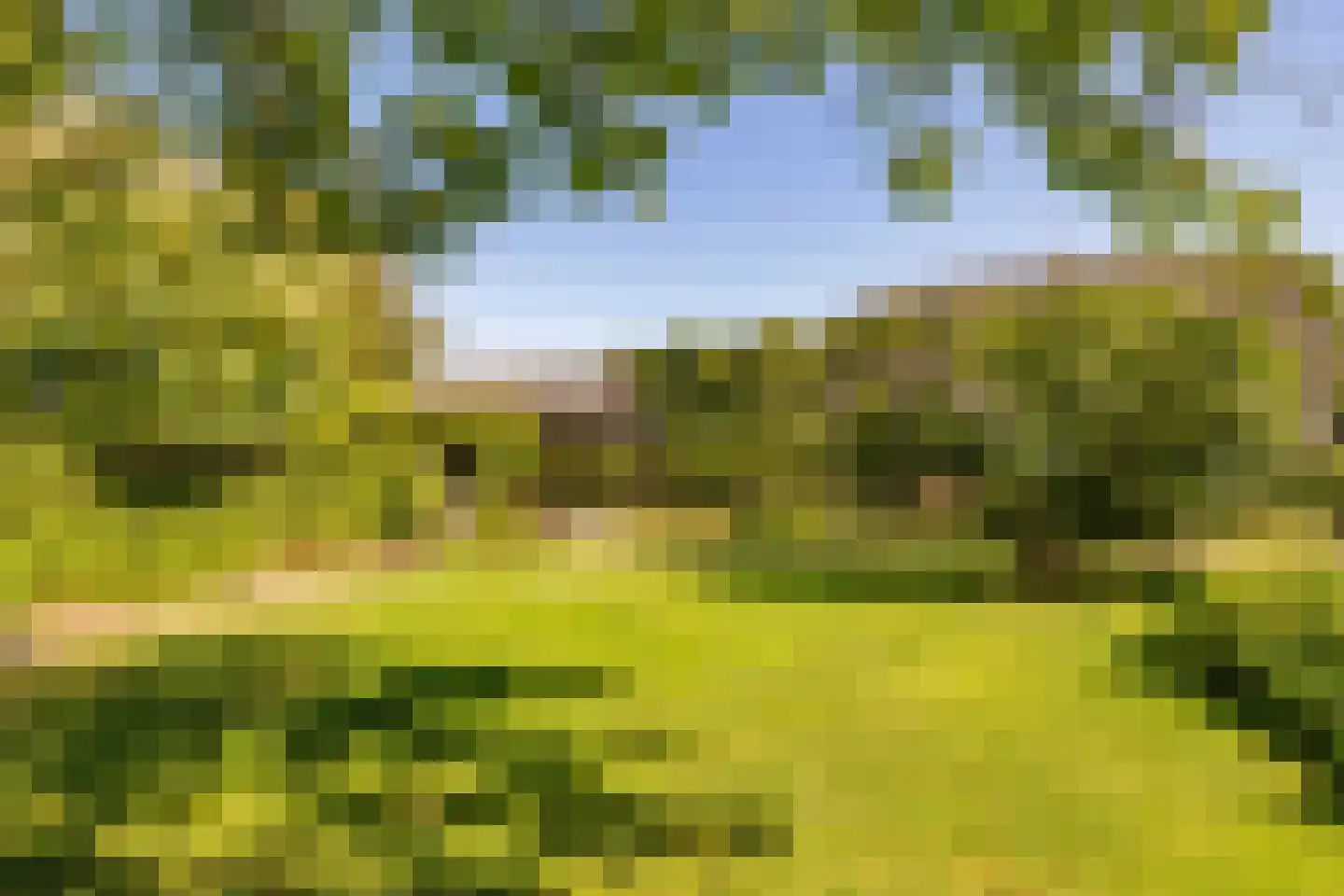 Bloemberg 34 Veeningen thumbnail 56