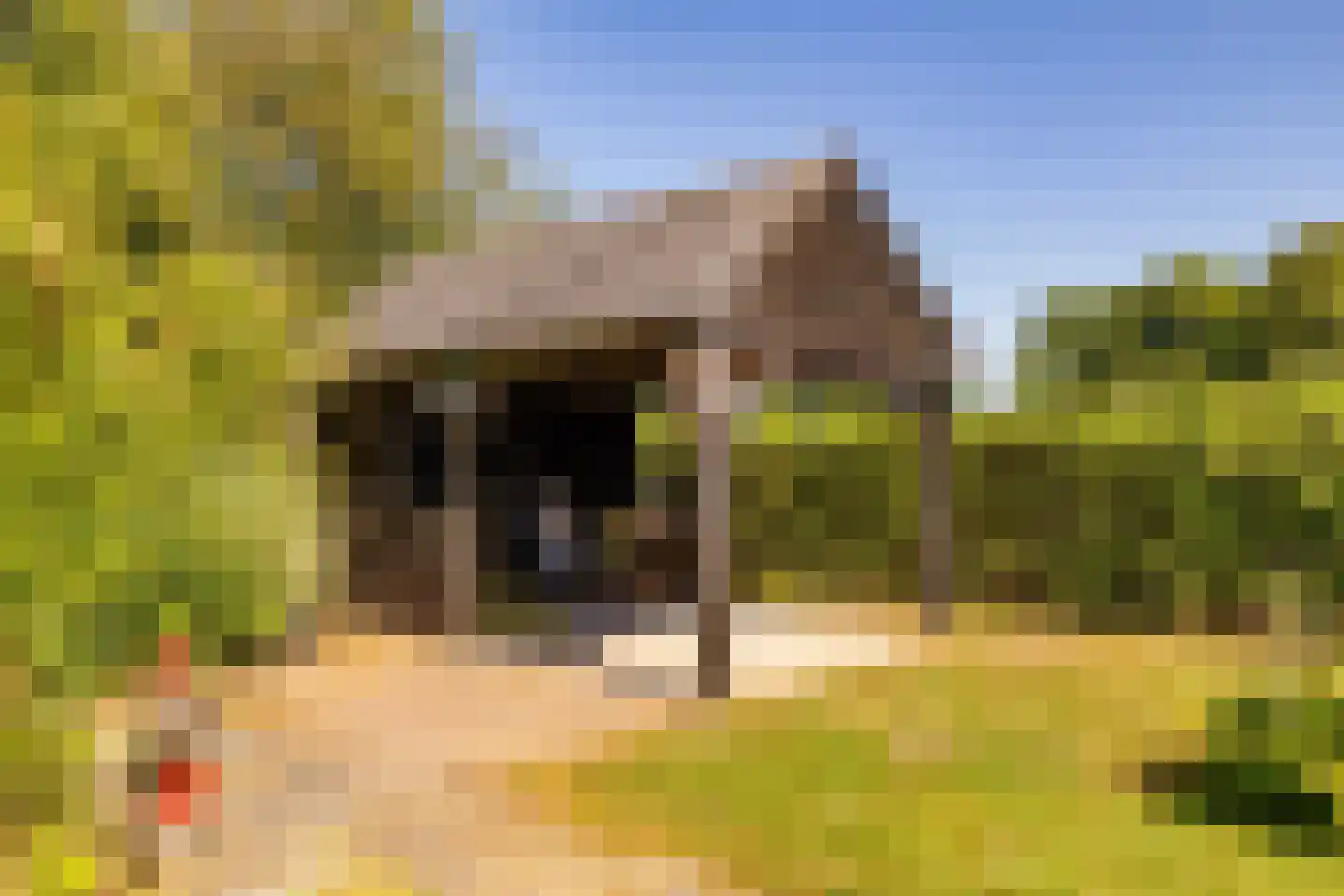 Bloemberg 34 Veeningen thumbnail 57