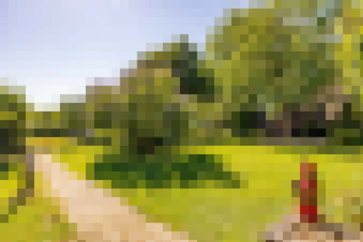 Bloemberg 34 Veeningen thumbnail 60