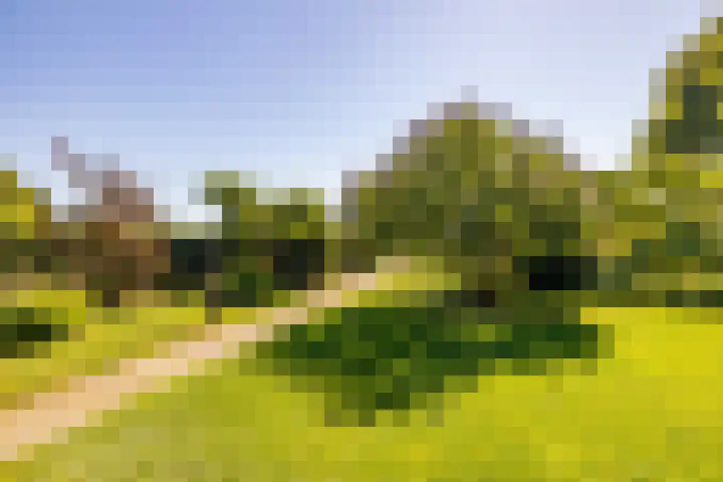 Bloemberg 34 Veeningen thumbnail 61