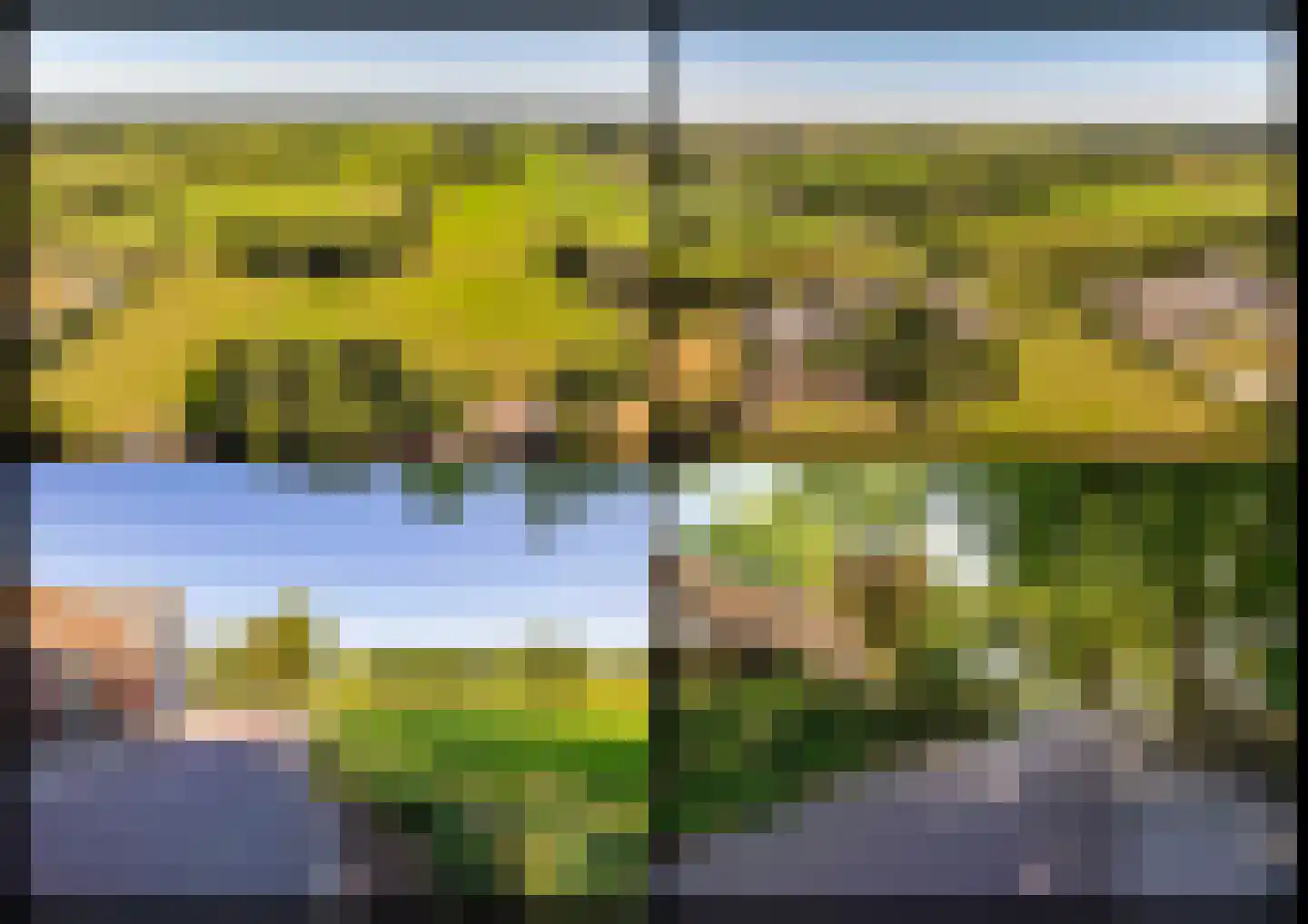 Bloemberg 34 Veeningen thumbnail 67
