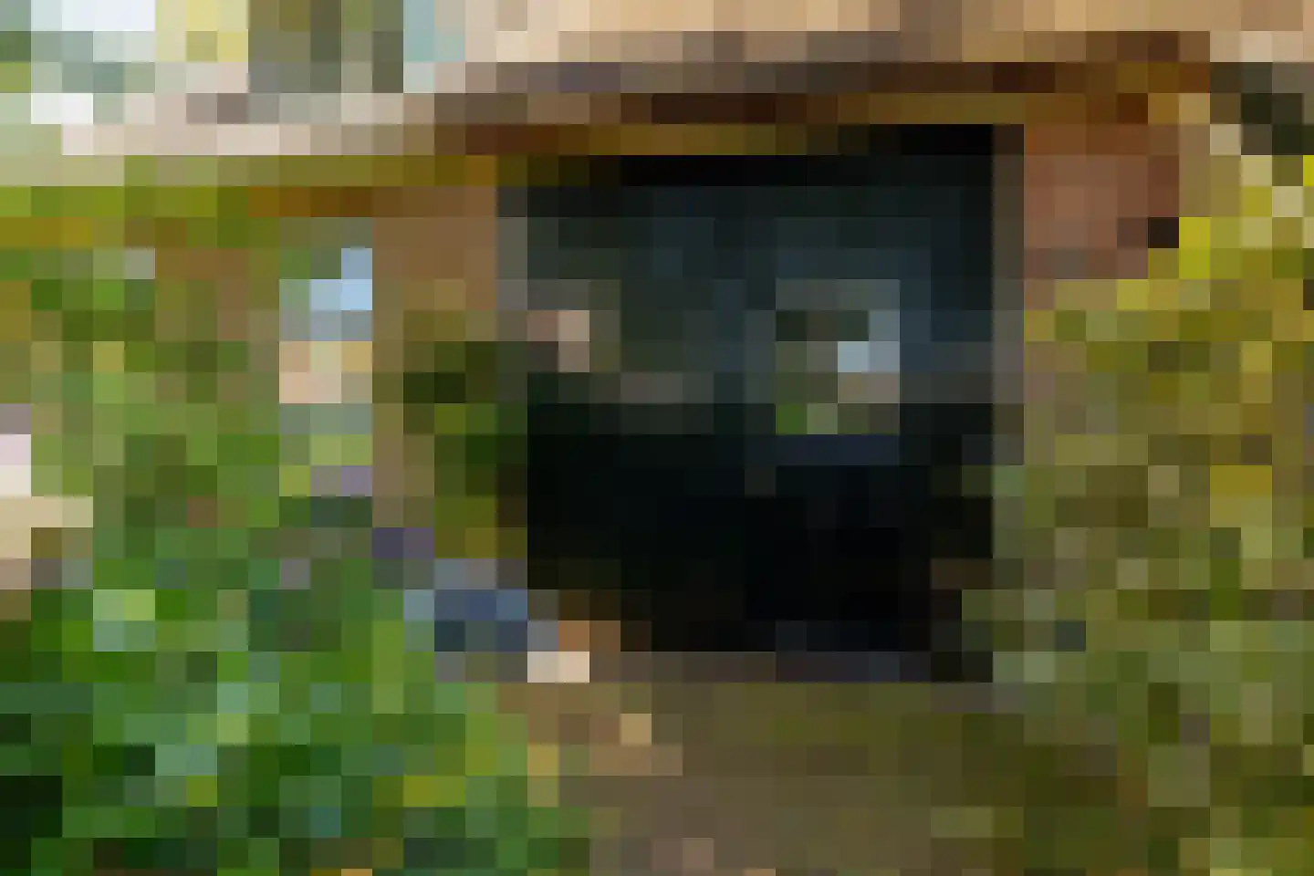 Bloemberg 34 Veeningen thumbnail 7