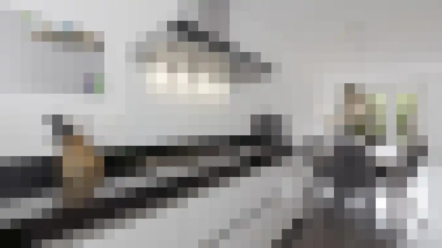 Bloembinderspark 101 Lisse thumbnail 14