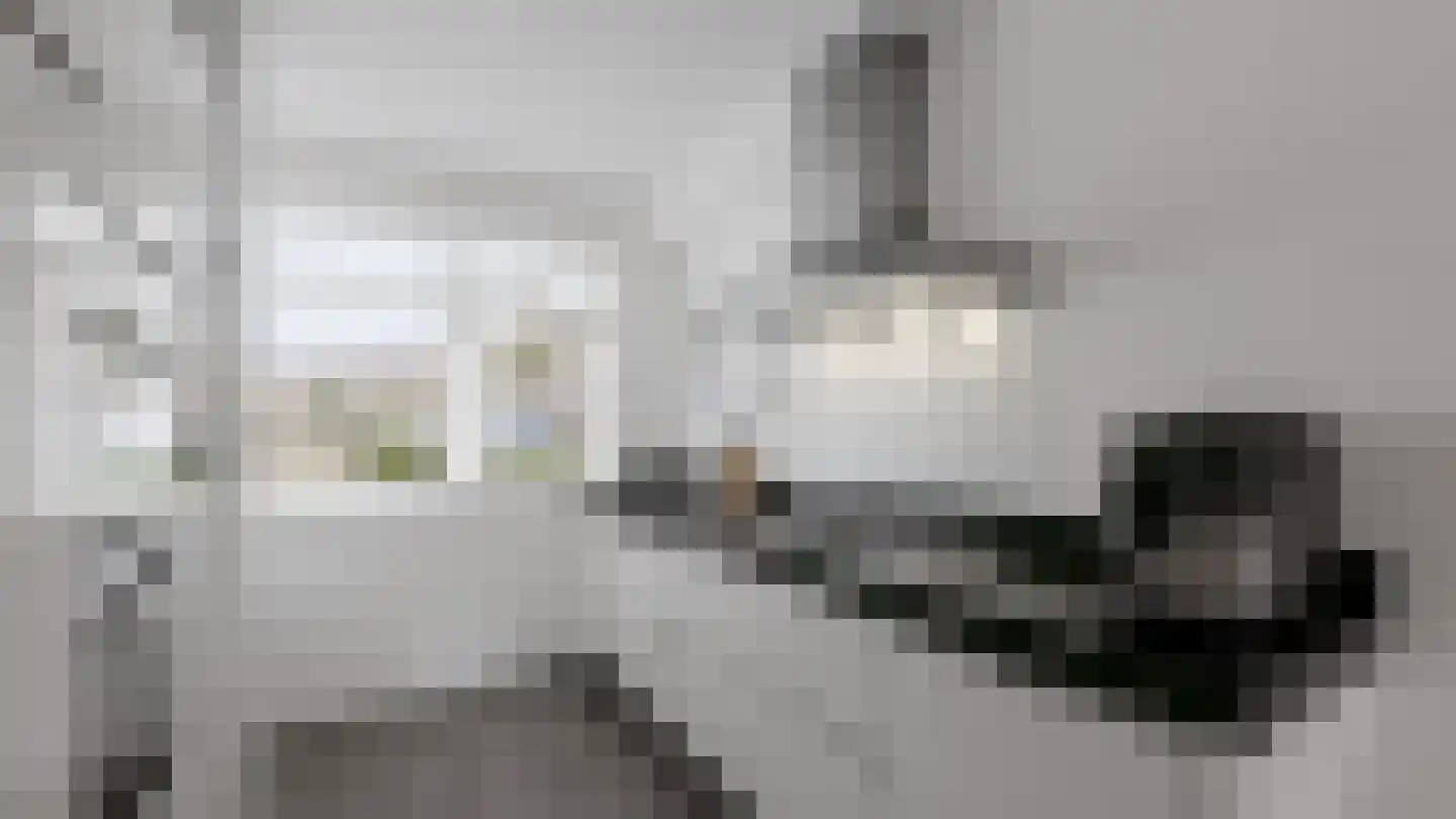 Bloembinderspark 101 Lisse thumbnail 15