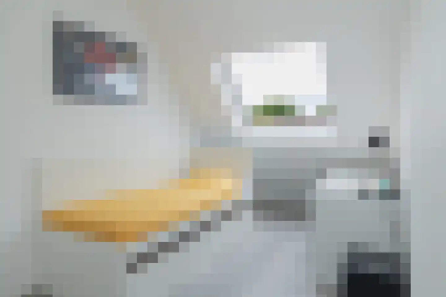 Bloembinderspark 101 Lisse thumbnail 29