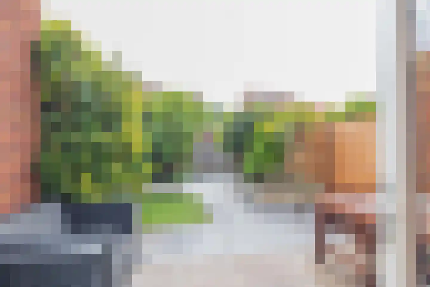 Bloembinderspark 101 Lisse thumbnail 4