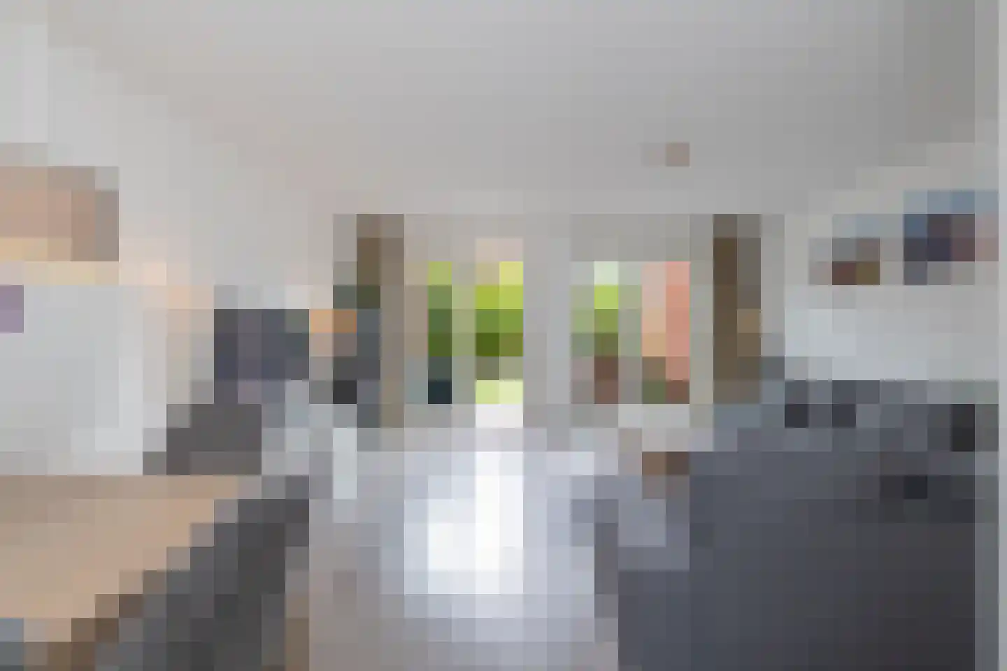 Bloembinderspark 101 Lisse thumbnail 6