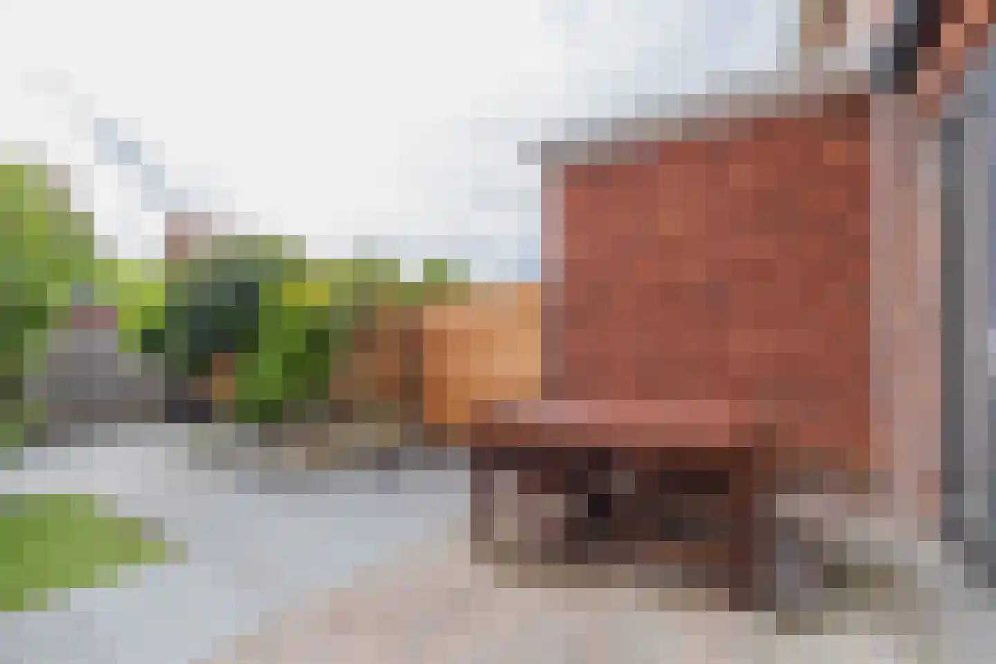 Bloembinderspark 101 Lisse thumbnail 9