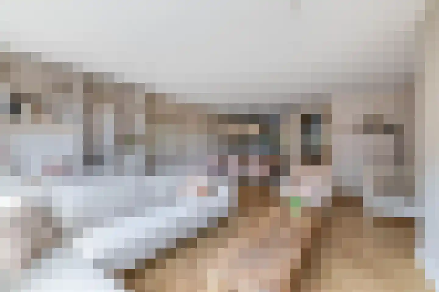 Bloembinderspark 39 Lisse thumbnail 10