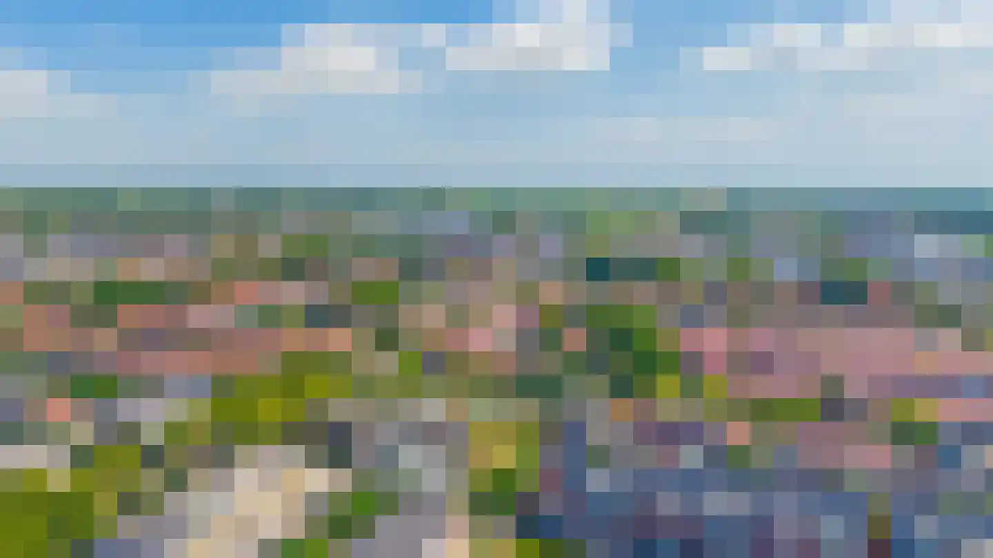 Bloembinderspark 39 Lisse thumbnail 41